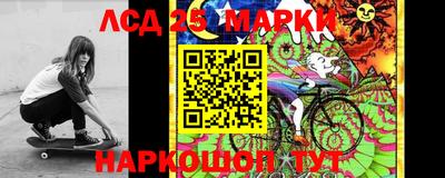 прущие грибы Усть-Илимск