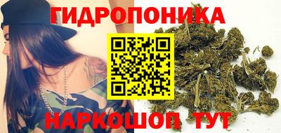 ГАЛЛЮЦИНОГЕННЫЕ ГРИБЫ Усть-Джегута