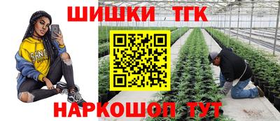 прущие грибы Усть-Илимск