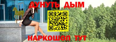 прущие грибы Усть-Илимск