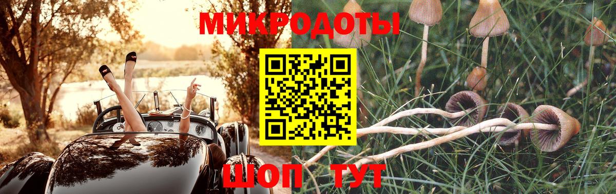 Галлюциногенные грибы GOLDEN TEACHER  Вход с VPN  Галлюциногенные грибы мухоморы  Урай 